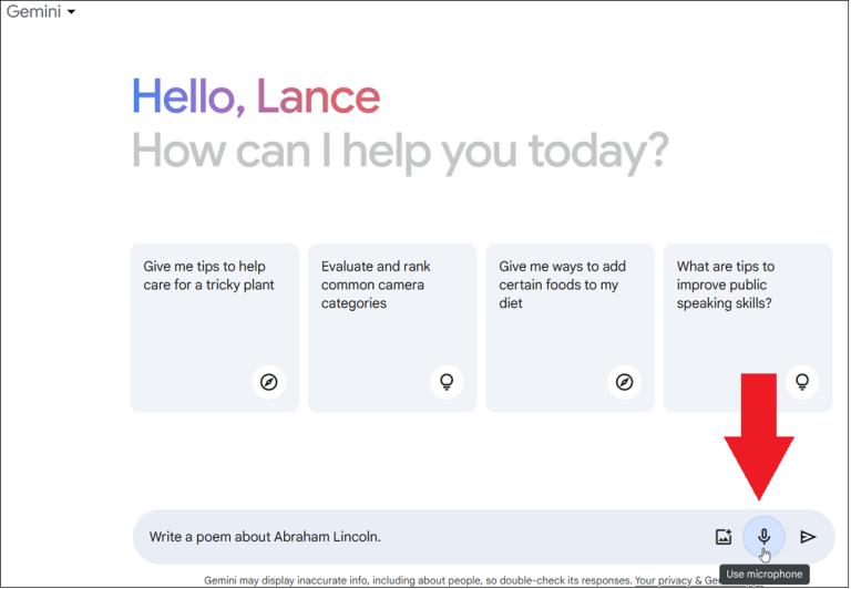 运用googlegemini开发项目,googleaigemini演示