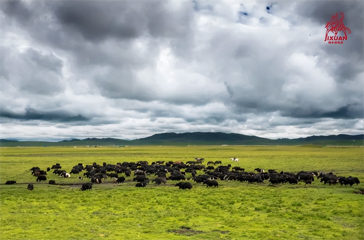 吉萱牦牛团购,吉萱牦牛小馆优惠券