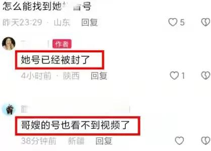 网红芳芳被杀真相,网红芳芳被伤害后续