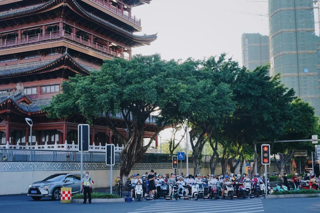 打飞的都要去坐的动车,怎么每站都这么好看