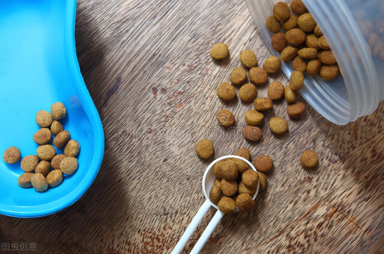 狗狗换狗粮了怎么喂药啊,狗狗换狗粮会有什么症状