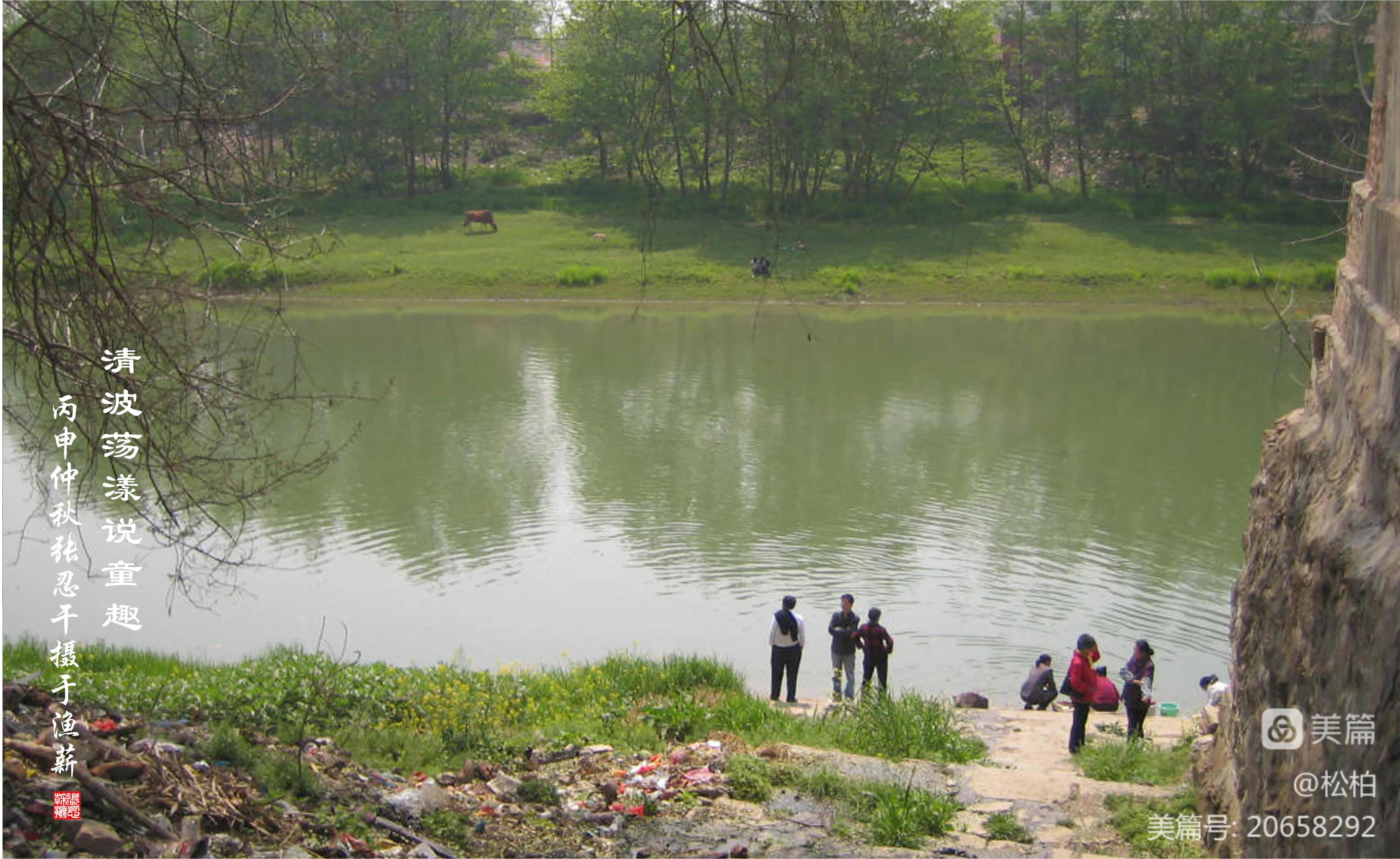 松柏古树图片,松柏古筝品牌