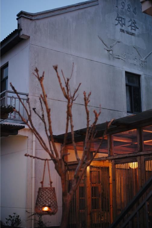 心动！那些藏在崇明民宿里的初秋小美好