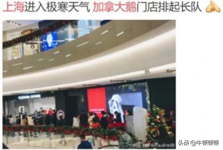 世界最贵大棉袄？加拿大鹅割韭菜传奇