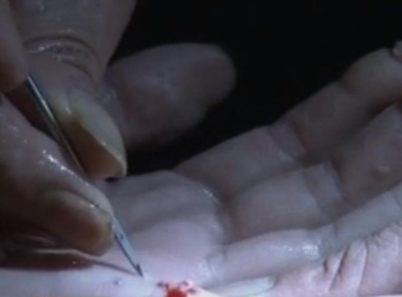 农村老汉把毒蛇养得像亲儿子一样,江西六旬老汉养毒蛇