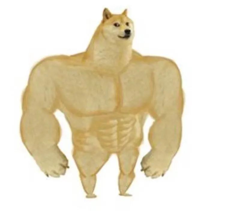 现在流行宽肩,韩国流行宽肩