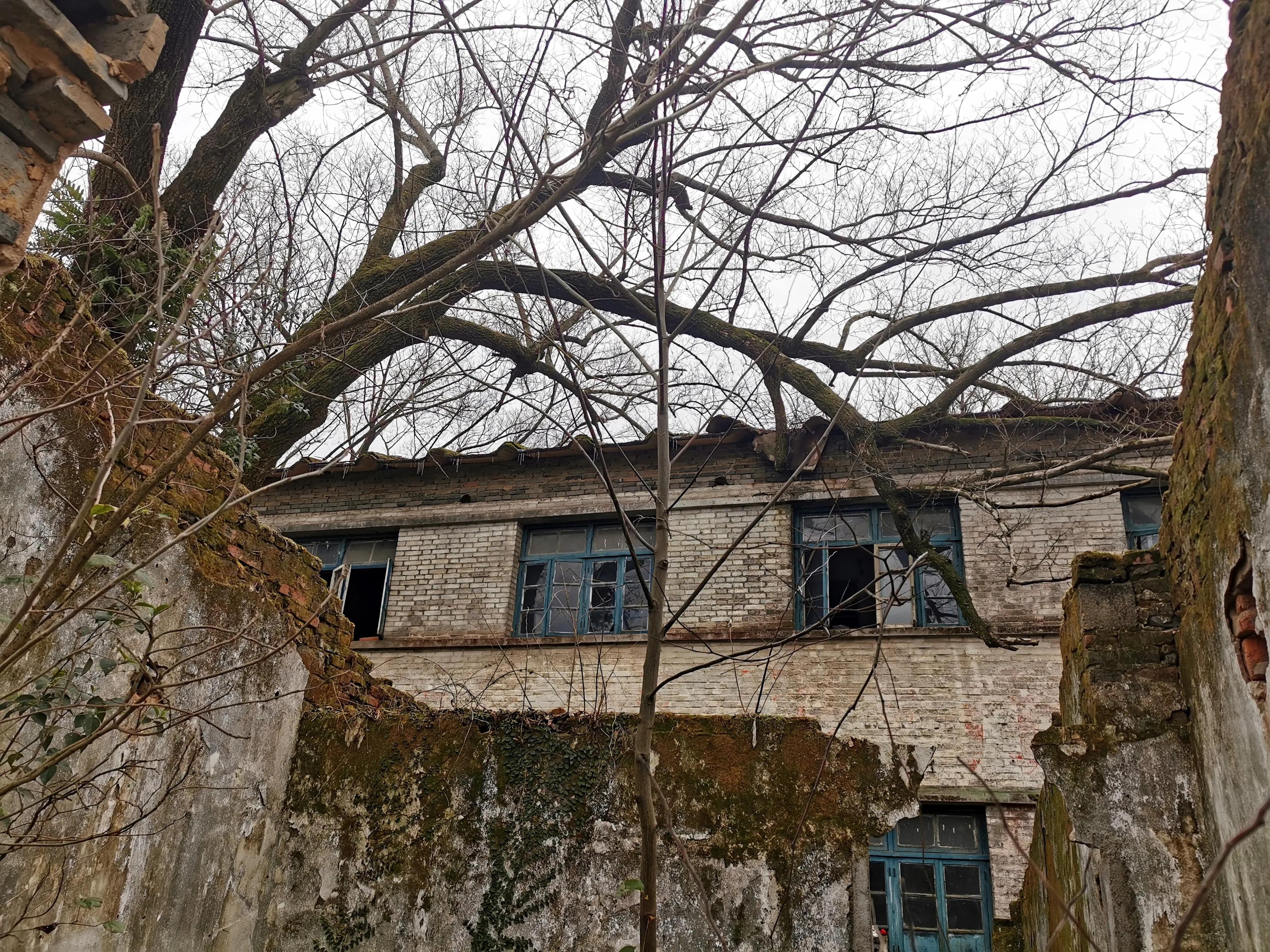 老爸的童年往事,老爸和老妈的故事