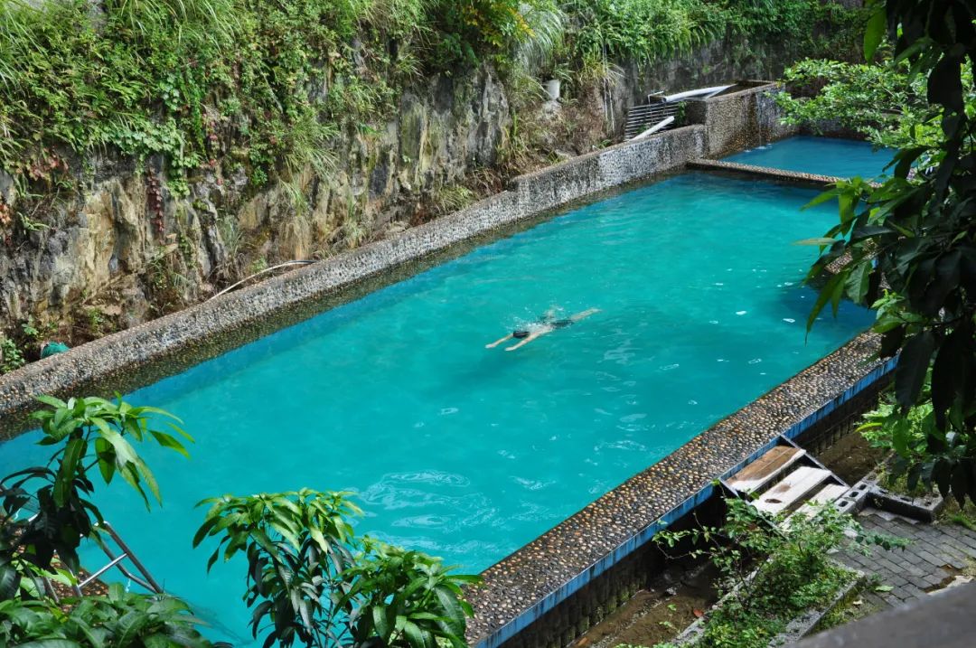 猫咪走太空步原视频最火,猫咪壁虎漫步视频