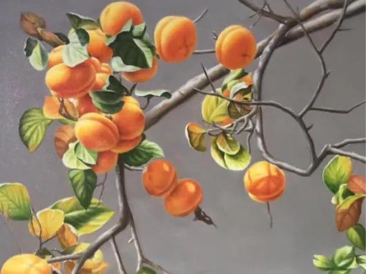 续：一棵柿子树一生牵挂一世情缘