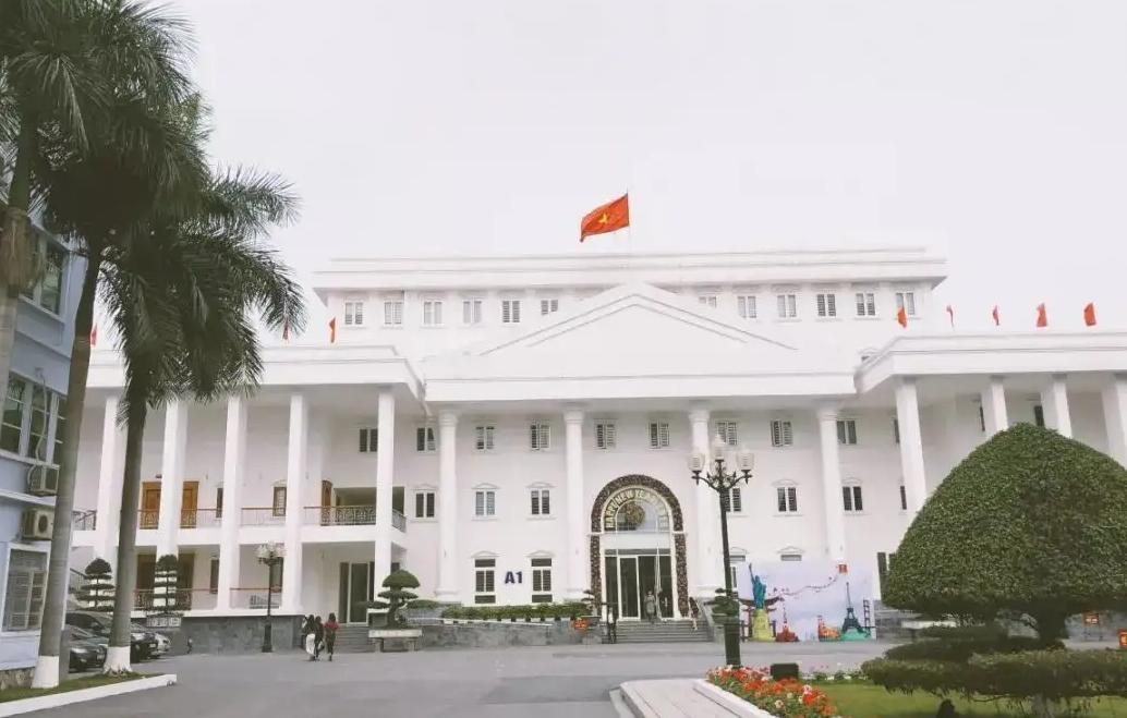 4万多越南人，看了一场假世界杯：暴露越南3大问题