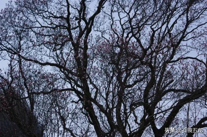 周至老县城露营,周至老县城厚畛子镇