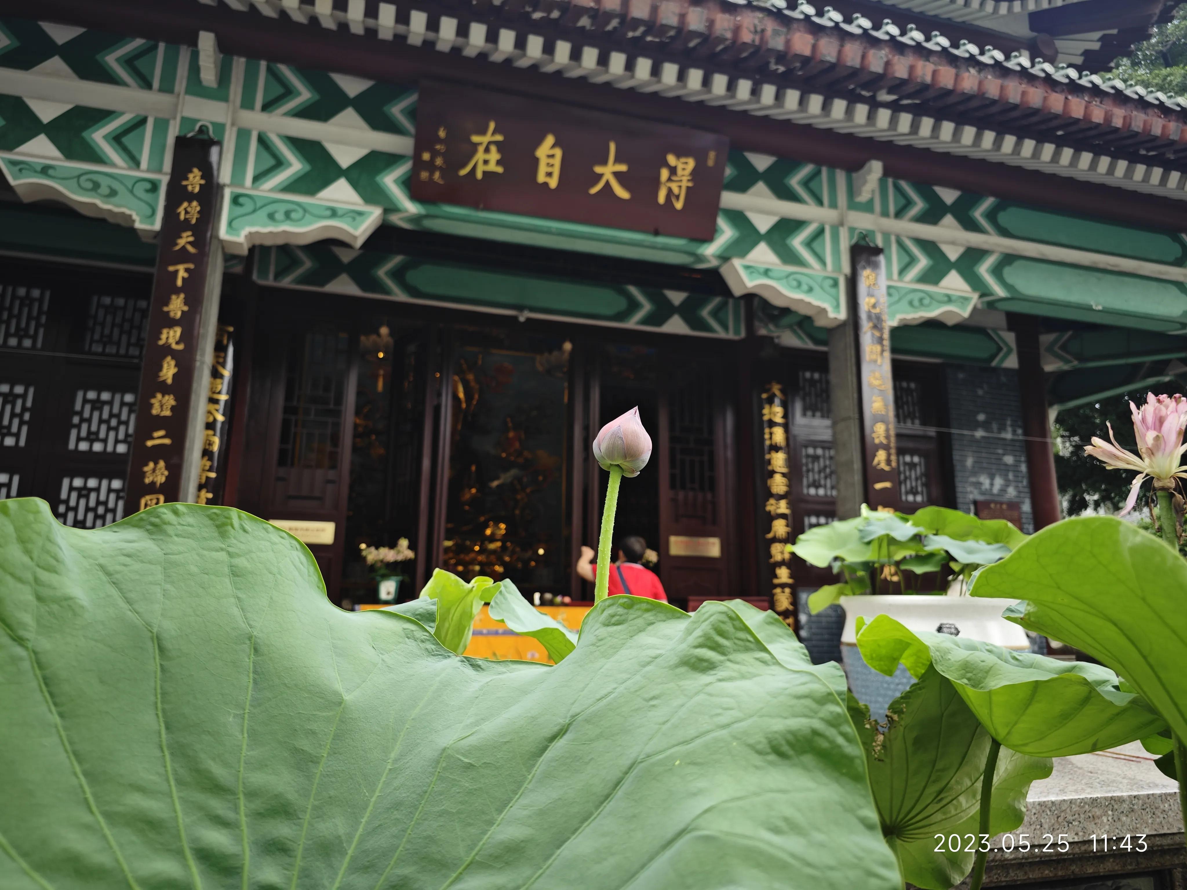 广州六榕寺求什么最灵,广州六榕寺传奇的寺庙