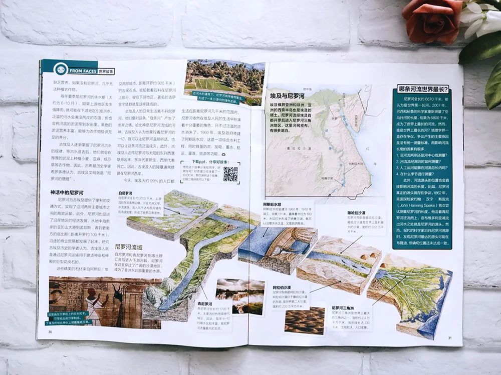 小学英语科普汇总,一张表搞定小学英语