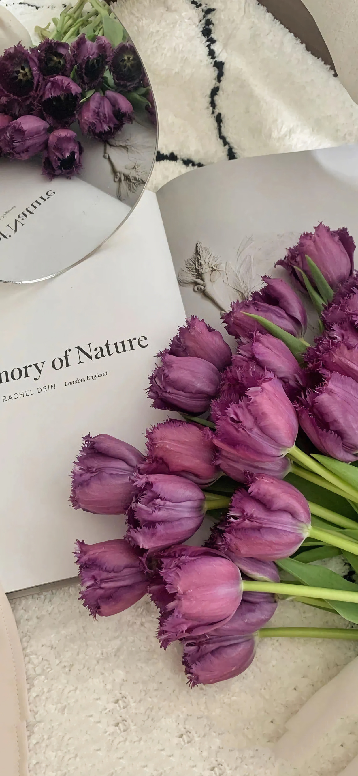 分享一些爆好看的手机壁纸,精挑细选90张最适合你的手机壁纸