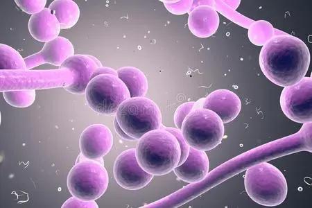 念珠菌真菌感染会引起尿频尿急吗,念珠菌真菌是什么