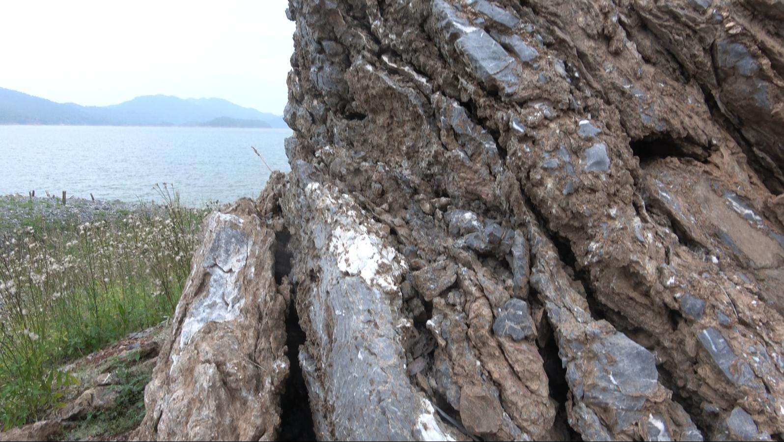 饮水思源的水是什么水,饮水思源的源怎么写