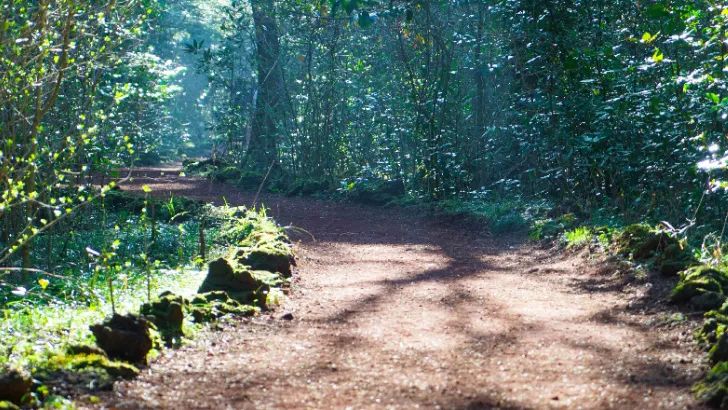 济州岛一场说走就走的旅行,济州岛说走就走