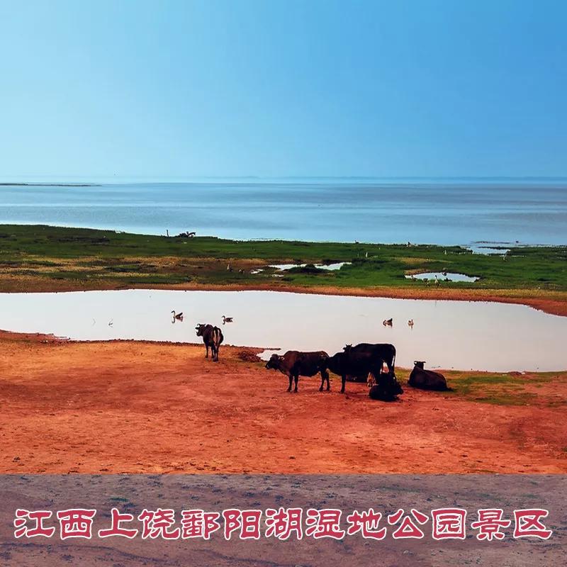 苦难的过去，救我们生命的鄱阳湖