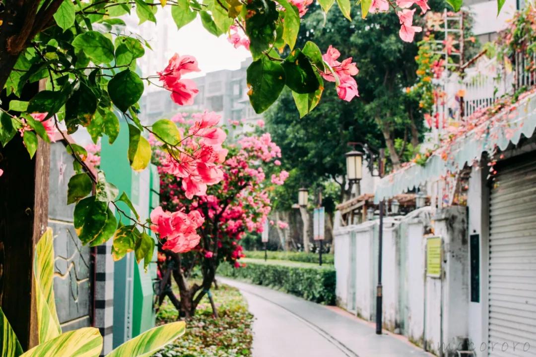 适合2月出行的12个旅行地，不负冬日的白雪和暖阳，准备好了吗？