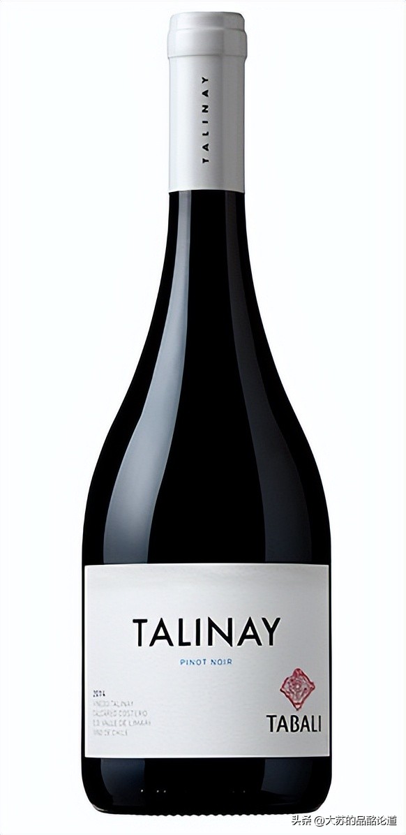 性价比高的葡萄酒平民型,世界十大最贵红葡萄酒黑皮诺