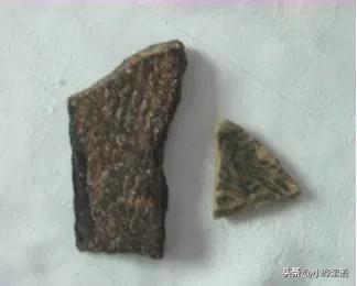 《寻味顺德》校本课程第二课