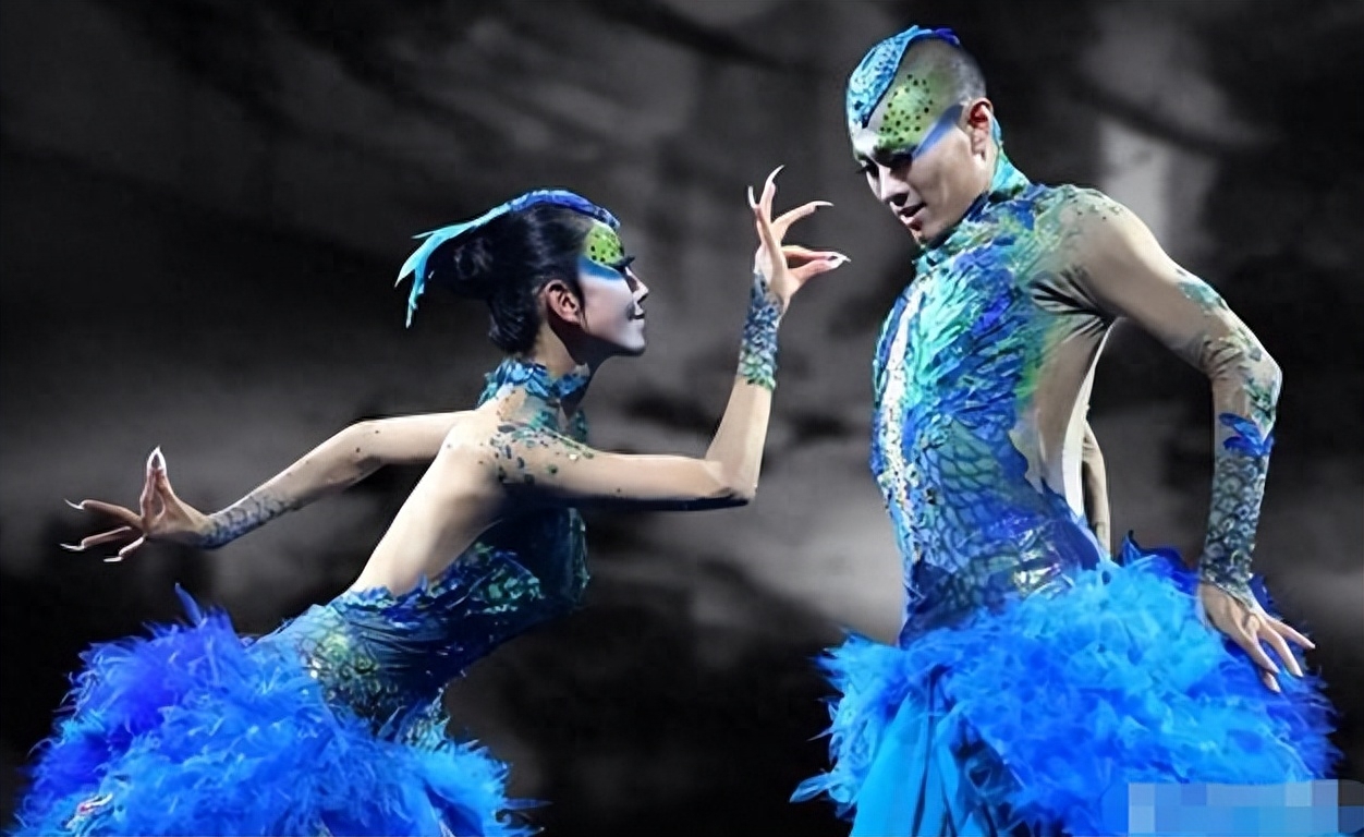 杨丽萍的四大不解之谜,杨丽萍十大不解之谜