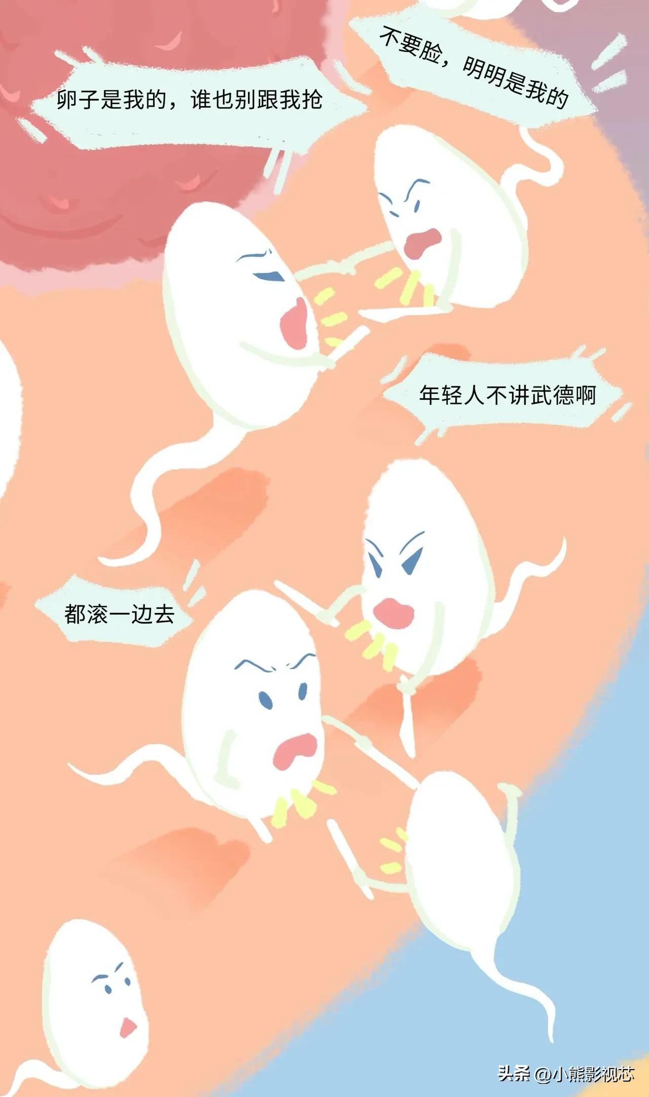 精子进入女生体内的全过程