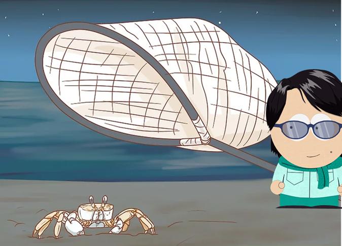 跑得最快的螃蟹怎么养,抓跑得最快的螃蟹