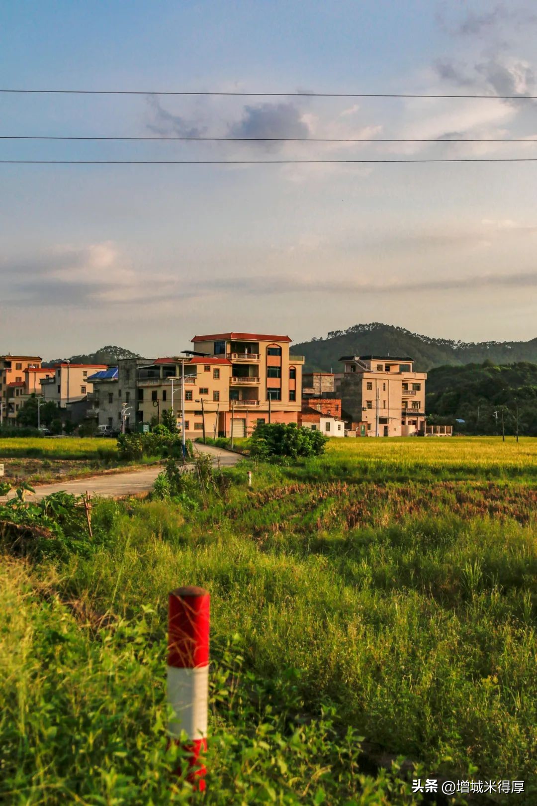 增城有什么自然风光和特产,增城著名的特色文化有哪些