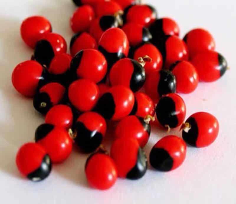 马上停止佩戴这东西，辐射超强会致癌，戴一天等于胸透117次！白送都别要，有的赶紧扔