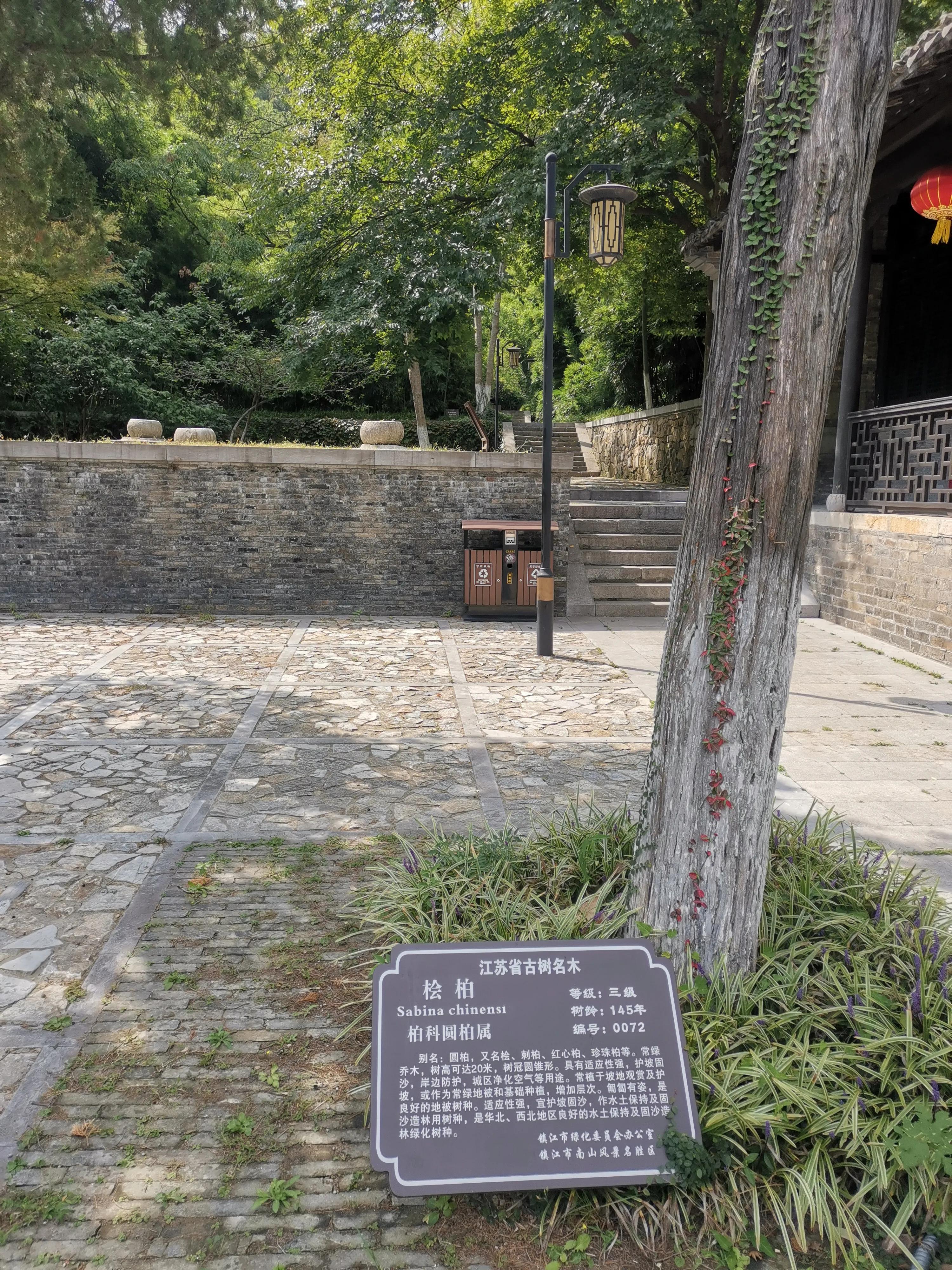 南京出发到镇江一日游跟团多少钱,南京去镇江旅行攻略路线