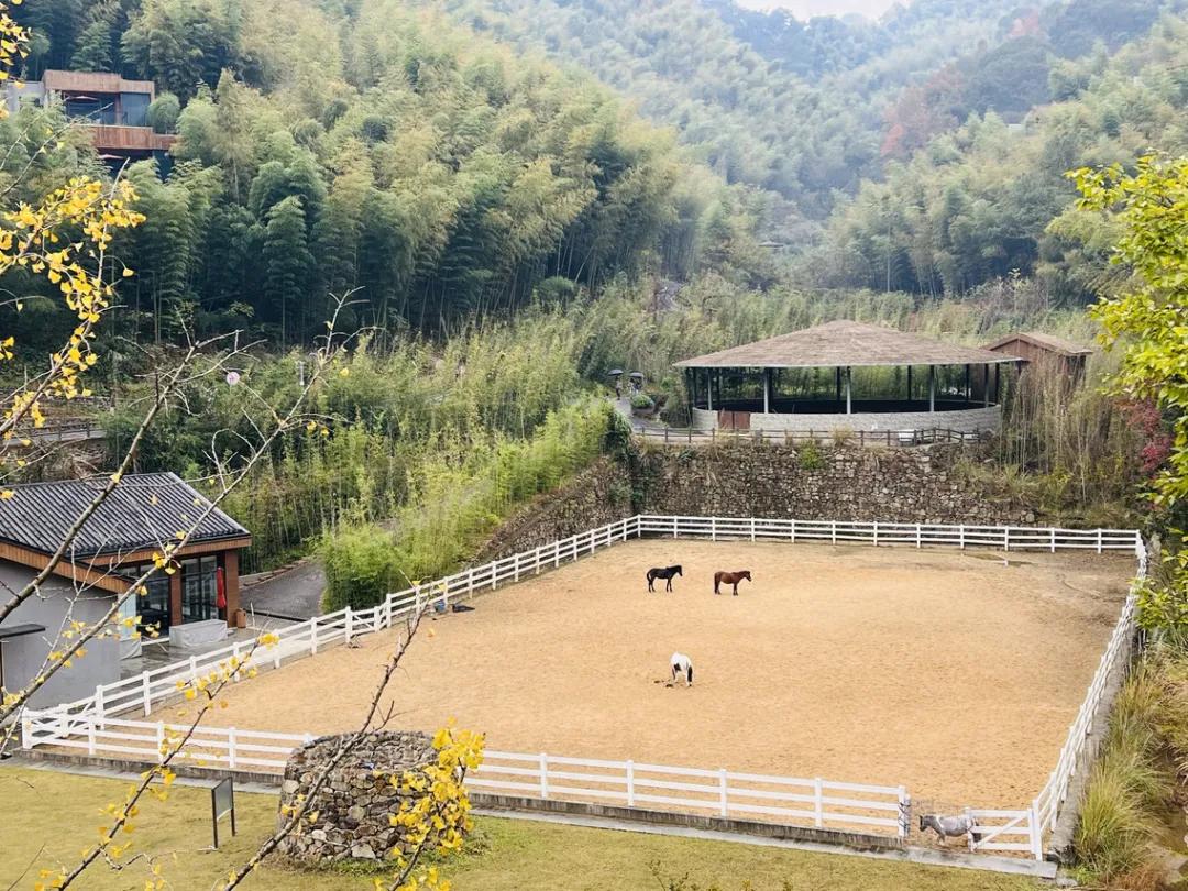 国内真正的天然温泉大全,国内真正的天然温泉排名