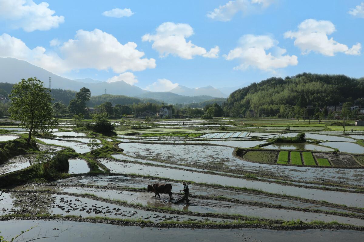 闰月为什么不闰腊月和正月,农历为啥要闰月