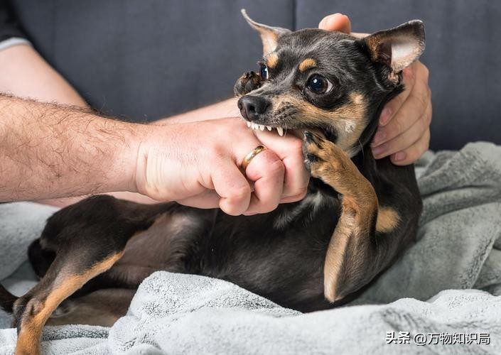 8岁男孩眼球融化荧光棒,小孩眼珠熔化视频