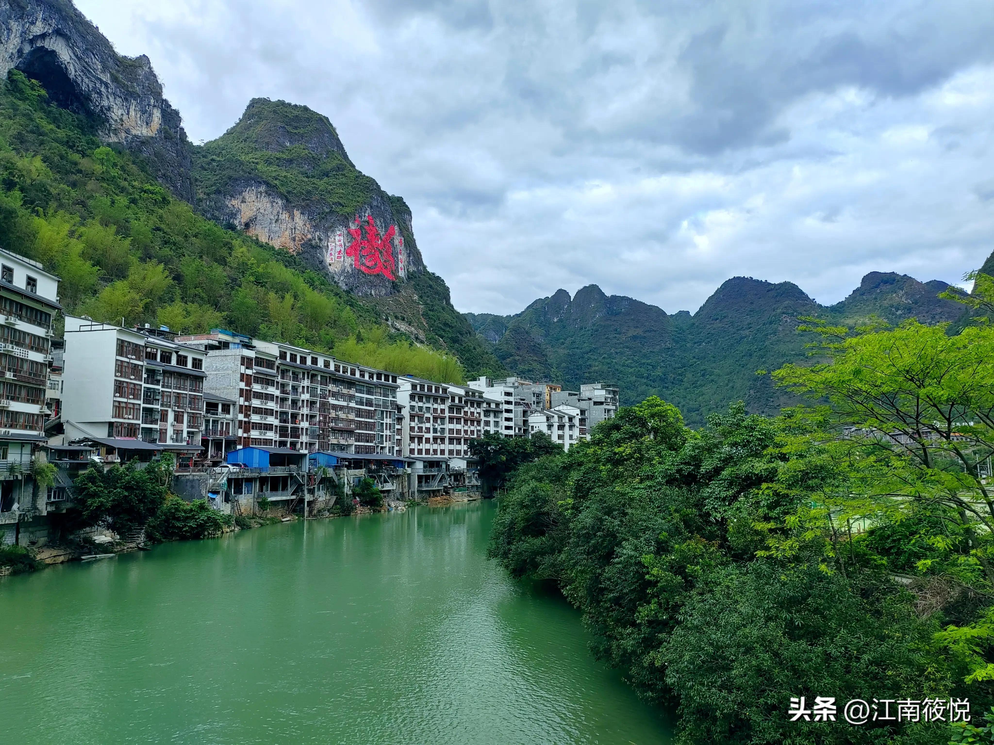 广西巴马瑶族老配方茶麸,巴马茶麸的功效和作用