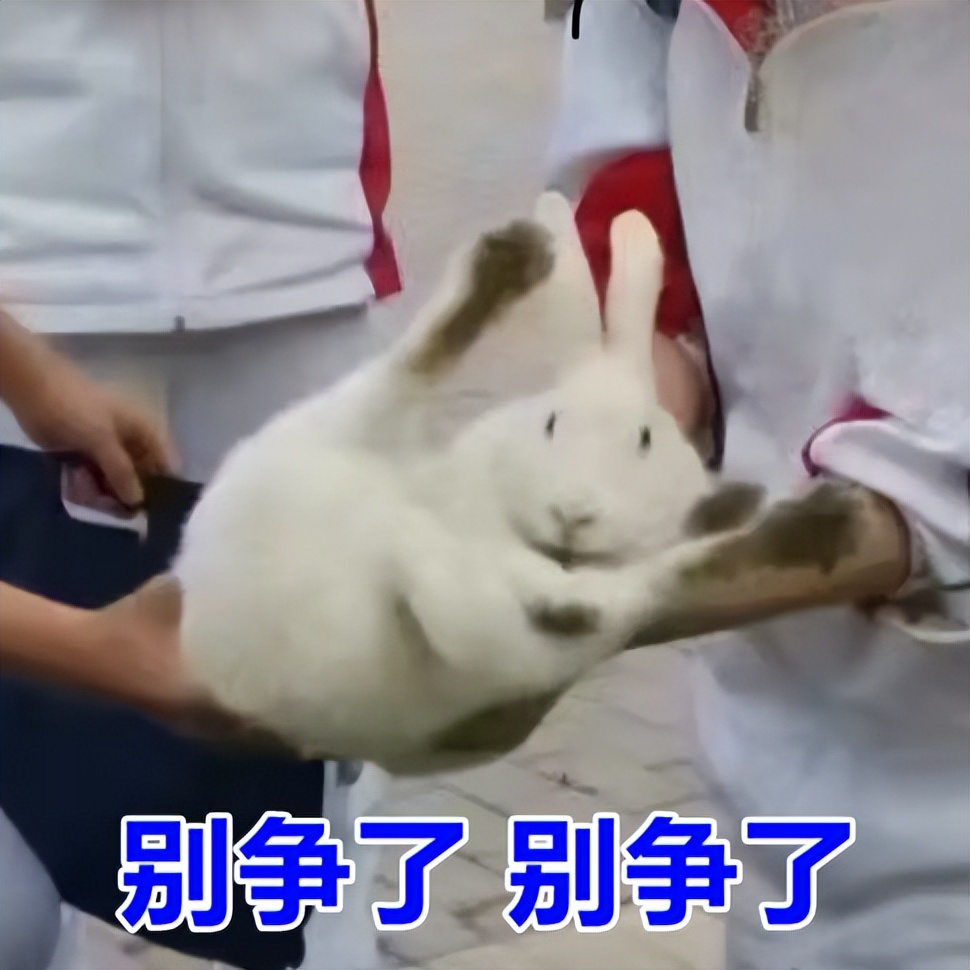 成都的人现在都在玩什么,最近成都人在玩什么