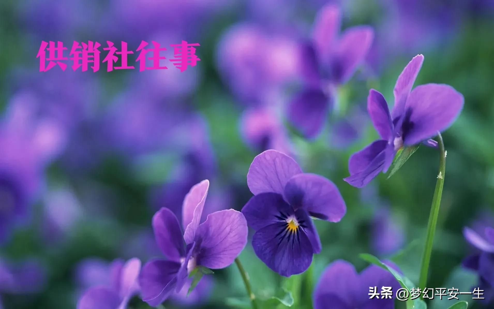 供销社经历的困难,怎么在供销社赚钱