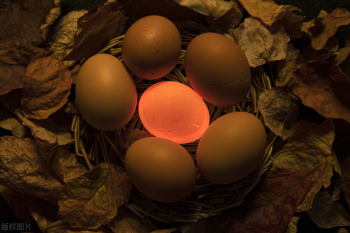 传说中的夜明珠真实存在的吗,传说中的夜明珠究竟是什么