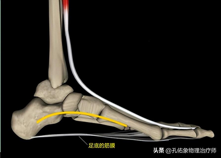 后背疼痛筋膜炎最好的恢复办法,后背肌筋膜炎全身不舒服