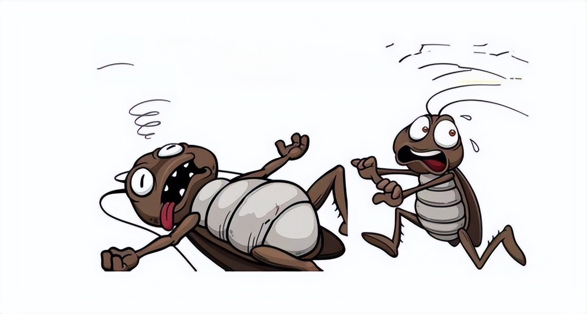 消灭蟑螂的100种方法之油炸蟑螂,蟑螂怎么消灭最彻底的方法