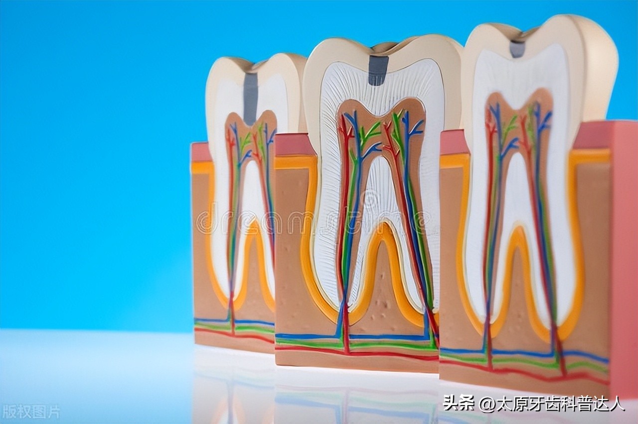 牙齿松动了有没有拯救的可能性,牙齿松动了牙医建议烤瓷牙