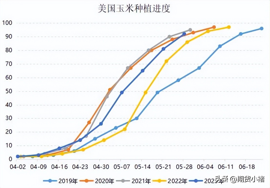 玉米盘中强势上涨,玉米现货上涨