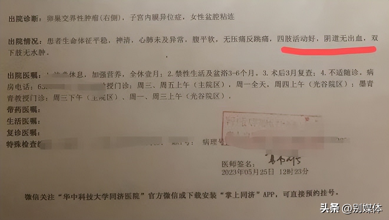 一块纱布的故事,一块纱布