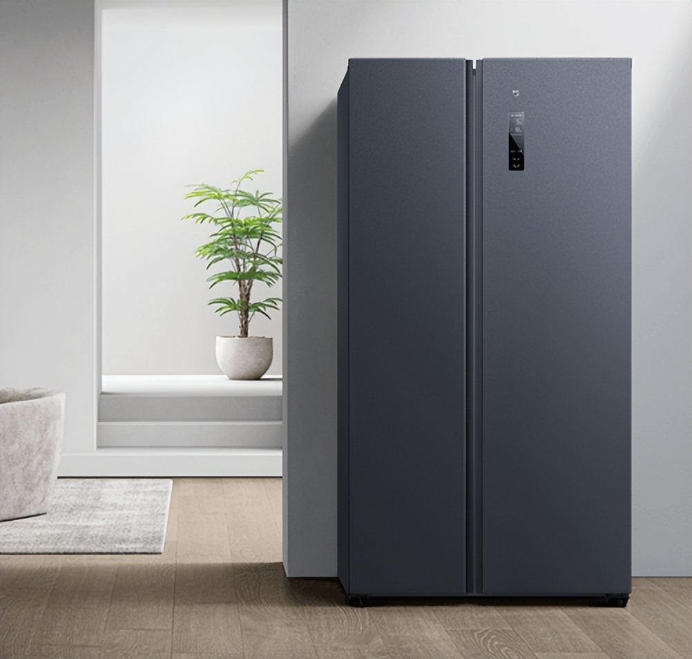 买冰箱看耗电量还是看几级能效,买冰箱买容量大的还是容量小的