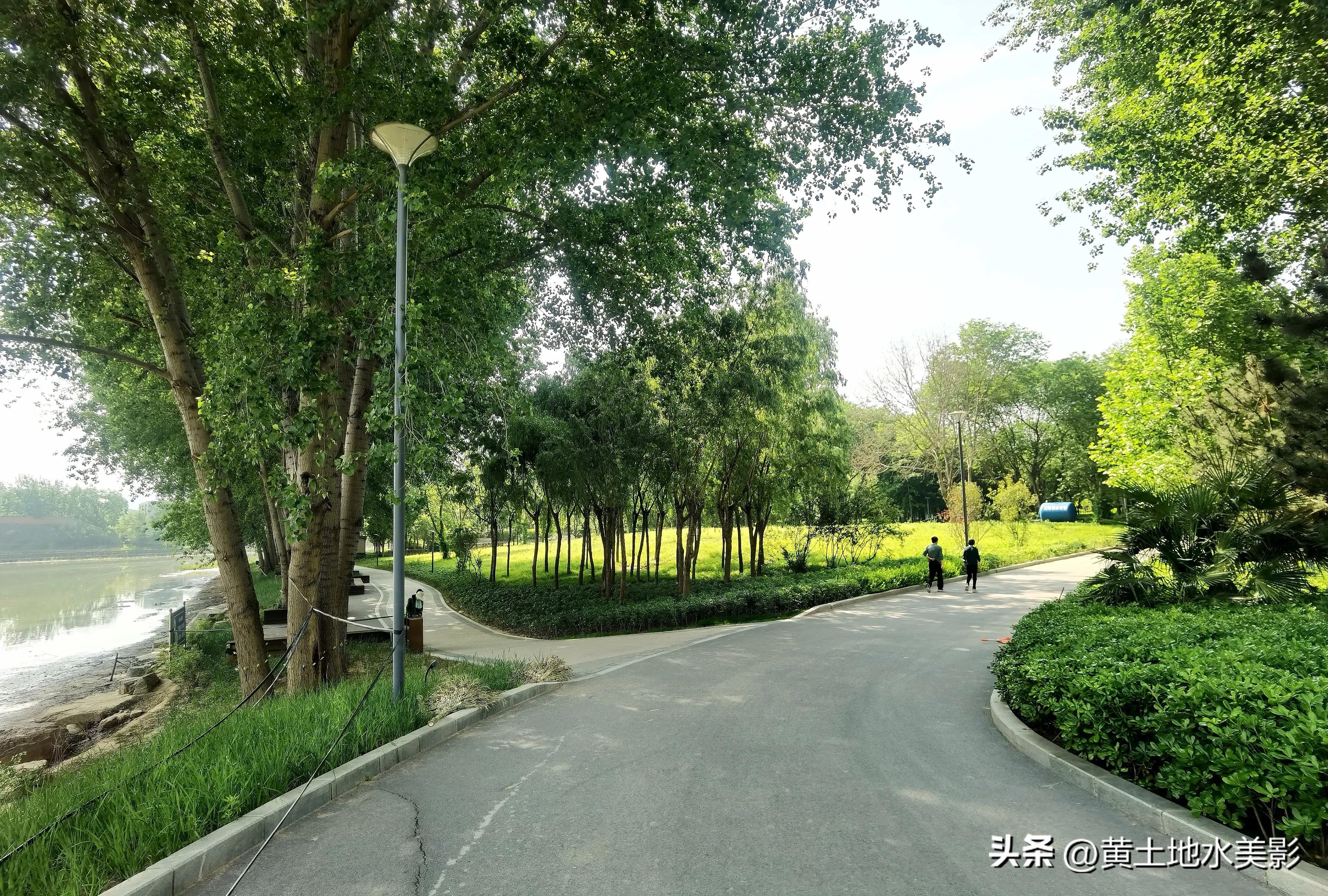 郑州象湖生态公园免费景点推荐,绿湖湿地公园河南