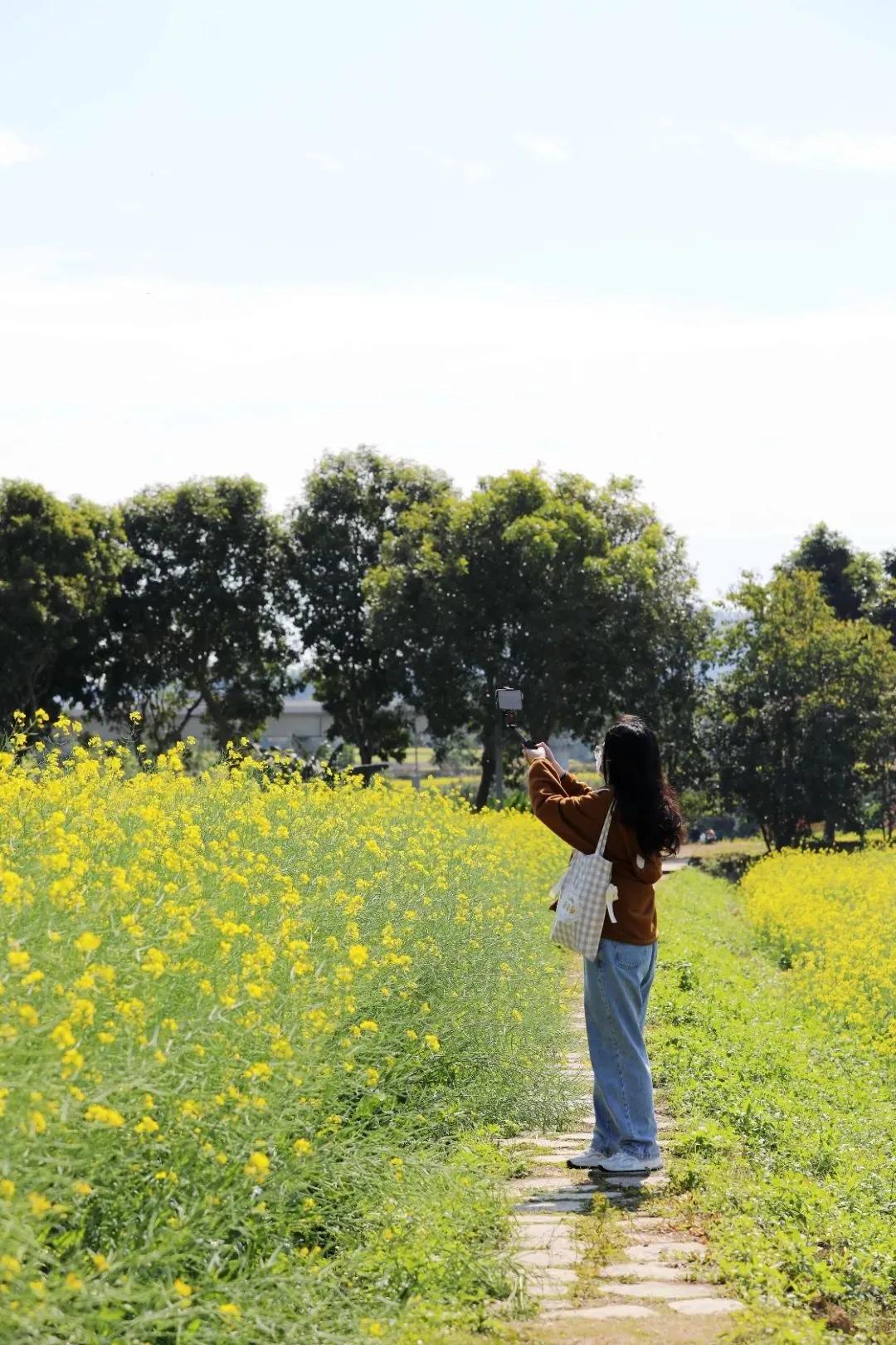 深圳甘坑客家小镇旅行,深圳甘坑古镇附近一日游攻略