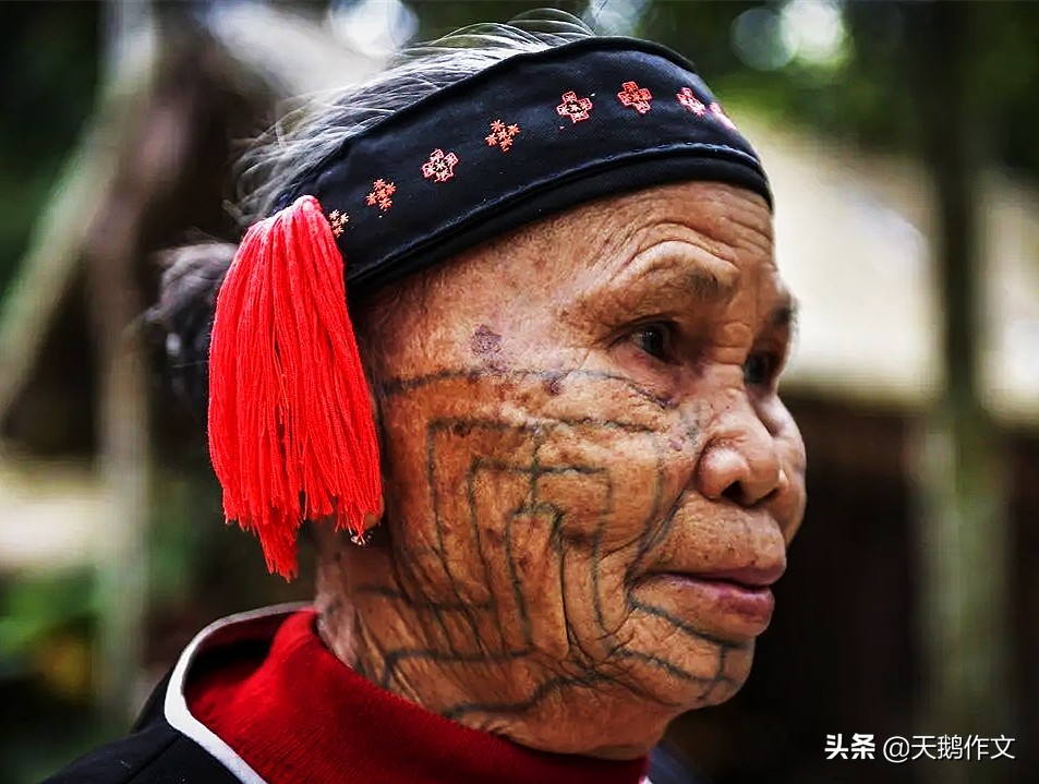 什么是作文赏析,什么是作文素材