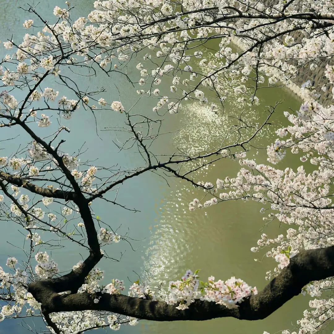 朋友圈背景图片文字,朋友圈背景图女生