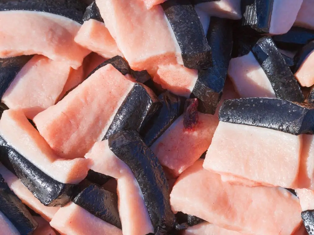 野猪冬天为什么上最高山头过冬,东北冬天的野猪喜欢在什么地方