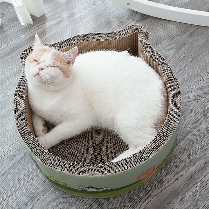 养猫好物大合集精致养猫日常,养猫平替产品